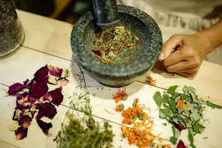 A-Beginner-s-Guide-to-Ritual-Herbs-for-Every-Season Witchy Metaphysics & Apothecary