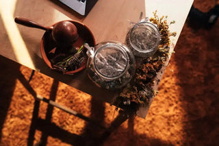 12-Ritual-Herbs-to-Enhance-Your-Magical-Potency Witchy Metaphysics & Apothecary