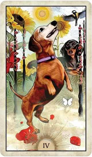 Wise Dog Tarot 