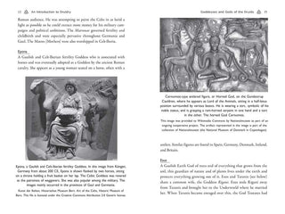 Celtic Druidry by Ellen Evert Hopman