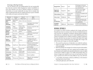 Modern Witchcraft Guide to Magickal Herbs by Judy Ann Nock