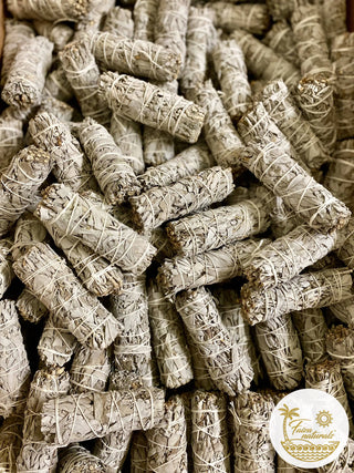 White Sage Bundles 4 inch- California White Sage from Farm 