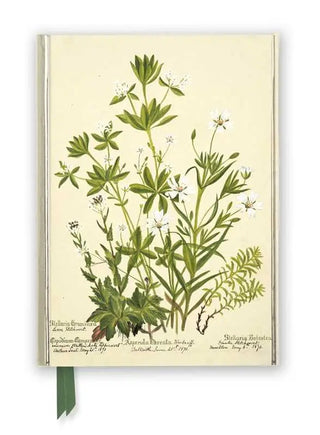 RBGE: Charlotte Cowan Pearson: Stitchworts, Woodruff and Pepperwort (Foiled Journal) by 