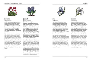 Green Witch's Garden by Arin Murphy-Hiscock 