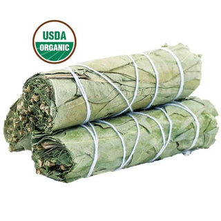 Eucalyptus Sage Smudge Stick (4 in.) 