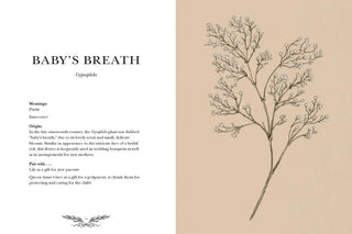 Floriography by Jessica  Roux 