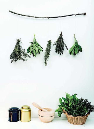 DIY for Witches by Marine Nina Denis