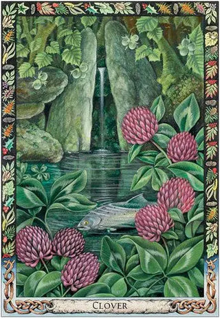 Druid Plant Oracle