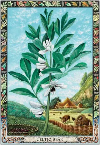 Druid Plant Oracle
