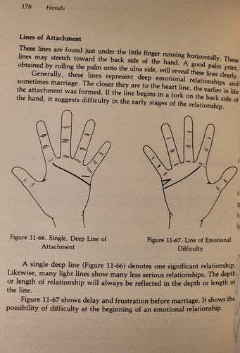 Hands: A Complete Guide to Palmistry