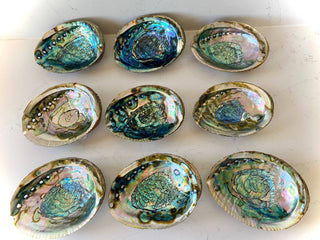Abalone Shell Smudge Bowls (Medium Shallow) 