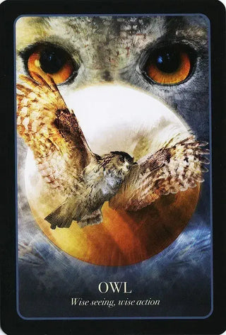The Halloween Oracle 