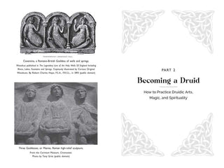 Celtic Druidry by Ellen Evert Hopman