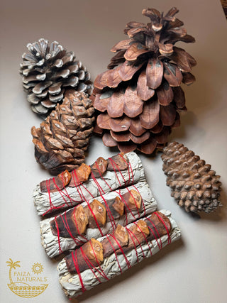 Pine Cone White Sage Bundles (Exclusive Production) 