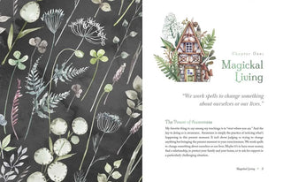 Witch's Apothecary: Seasons of the Witch by Lorriane Anderson 