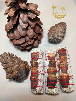 Pine Cone White Sage Bundles (Exclusive Production) 