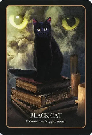 The Halloween Oracle 