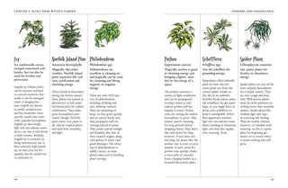 Green Witch's Garden by Arin Murphy-Hiscock 