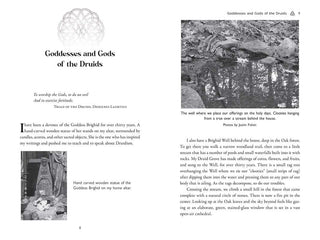 Celtic Druidry by Ellen Evert Hopman