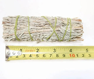 Blue Sage Smudge Stick (4 in.) 