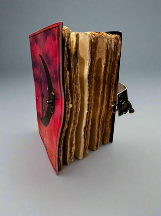 The Cat and Moon Journal