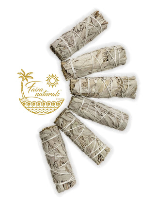 White Sage Bundles 4 inch- California White Sage from Farm 