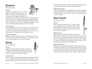 Modern Witchcraft Guide to Magickal Herbs by Judy Ann Nock